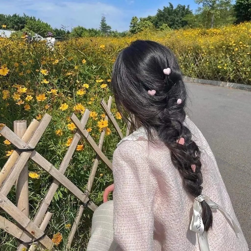 吉什岛的故事